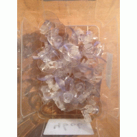 luchtslang houder met zuignap (10 stuks)