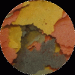 Tropische vlokken (50 gram)