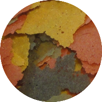 Tropische vlokken (50 gram)