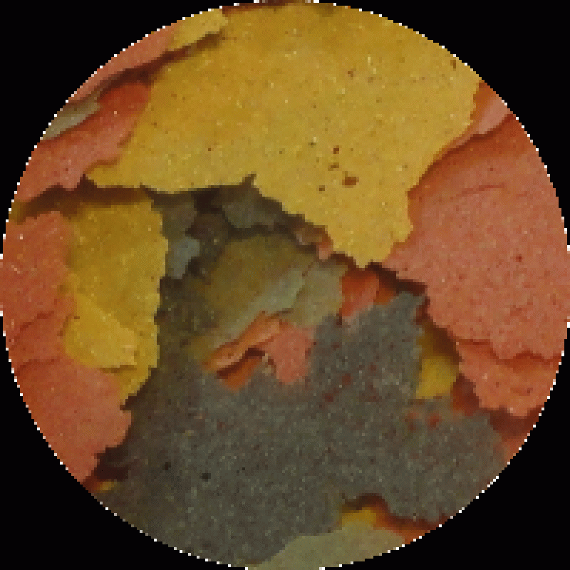 Tropische vlokken (200 gram)