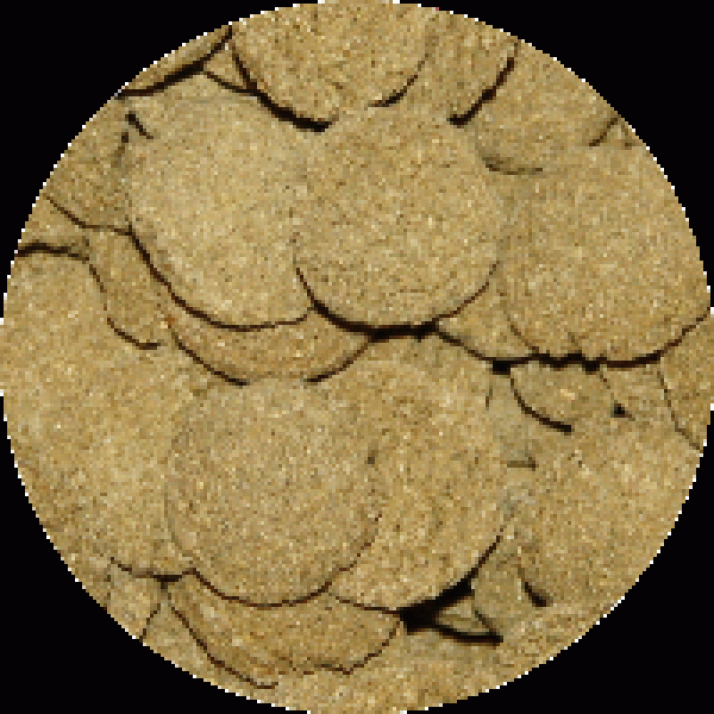 Algen wafers (500 gr,)