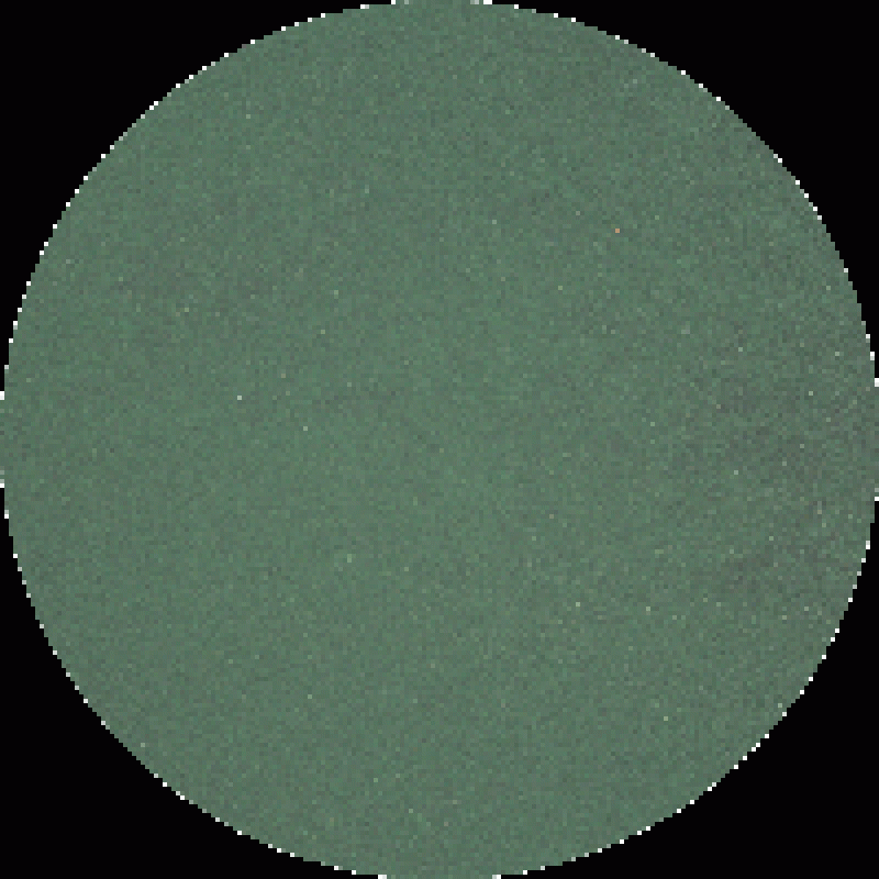 spirulina pulver 500ml/100gr