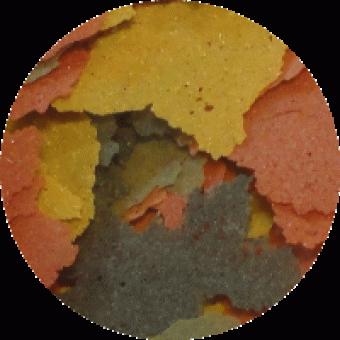 Tropische vlokken (100 gram)